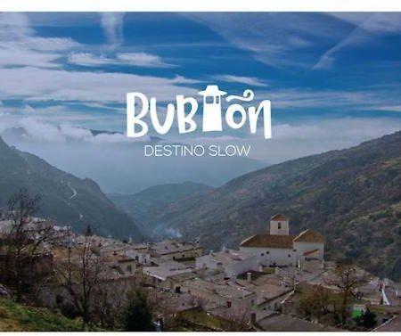 Bubion. Alpujarra Granadina公寓 外观 照片